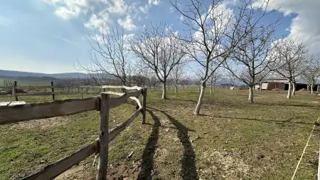 Eladó telek, Berkenye 4598 m² 9.9 M Ft